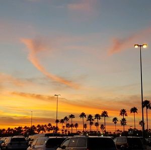 Meet your Posher, Ebony